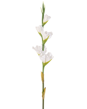 De Kunstbloem Gladiolen 83 cm wit is een enkele kunstmatige witte gladioolstengel met meerdere bloesems en groene knoppen, rechtopstaand tegen een effen witte achtergrond.
