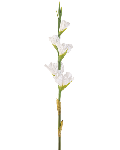 De Kunstbloem Gladiolen 83 cm wit is een enkele kunstmatige witte gladioolstengel met meerdere bloesems en groene knoppen, rechtopstaand tegen een effen witte achtergrond.