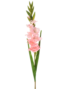 De Kunstbloem Gladiolen 93 cm roze heeft een enkele steel met meerdere zachtroze bloemen en lange groene bladeren, afgebeeld tegen een witte achtergrond.