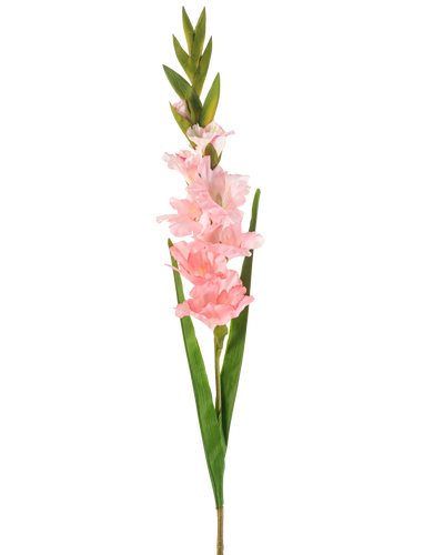 De Kunstbloem Gladiolen 93 cm roze heeft een enkele steel met meerdere zachtroze bloemen en lange groene bladeren, afgebeeld tegen een witte achtergrond.