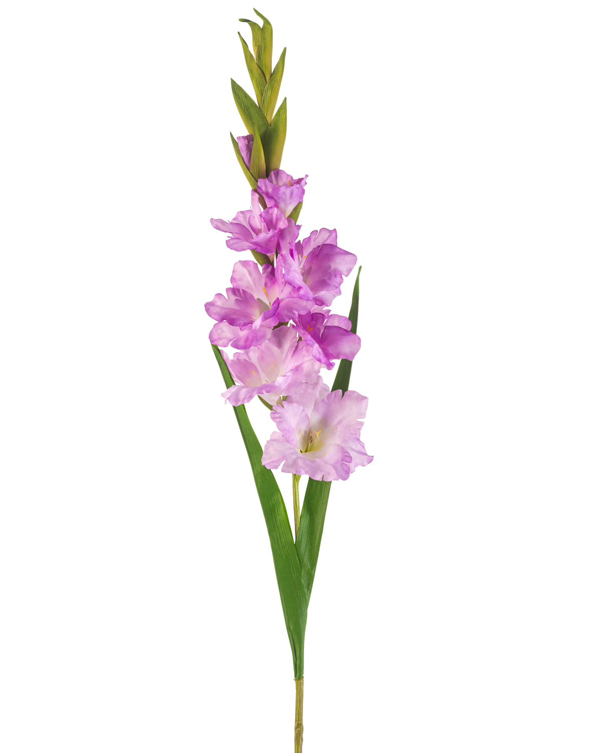 A single Artificial Flower Gladiolus stem of 93 cm with multiple pink and light purple flowers with long green leaves, isolated on a white background.