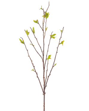 De Kunstbloem Winterzoet 81 cm groen is een kunsttak met dunne bruine stengels en kleine groene blaadjes tegen een witte achtergrond.