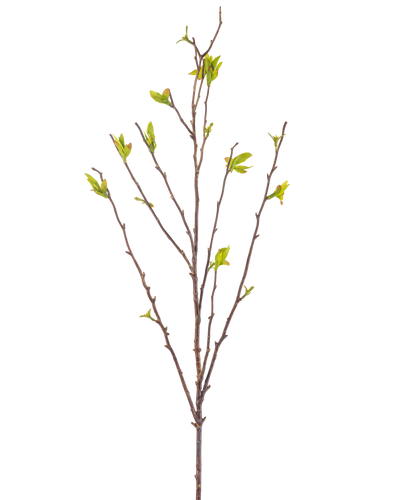 De Kunstbloem Winterzoet 81 cm groen is een kunsttak met dunne bruine stengels en kleine groene blaadjes tegen een witte achtergrond.