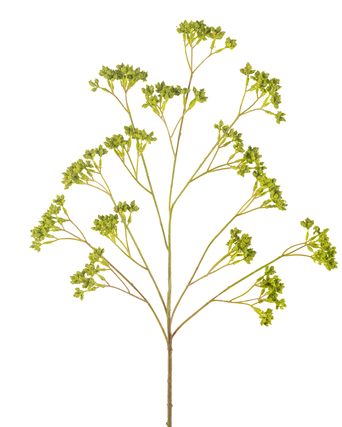 The Artificial Branch Seed Box 80 cm green has a single branched stem with several clusters of small green leaves, all arranged symmetrically against a white background.