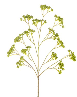 De Kunsttak Zaaddoos 80 cm groen heeft een enkele vertakte stengel met verschillende trossen kleine groene blaadjes, allemaal symmetrisch gerangschikt tegen een witte achtergrond.