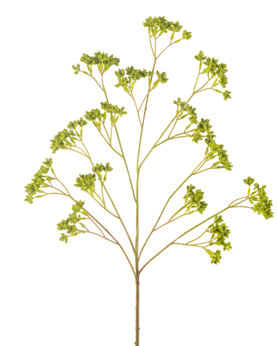 De Kunsttak Zaaddoos 80 cm groen heeft een enkele vertakte stengel met verschillende trossen kleine groene blaadjes, allemaal symmetrisch gerangschikt tegen een witte achtergrond.