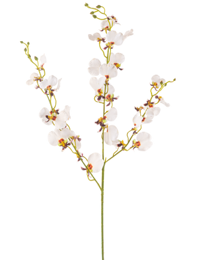 De Kunstbloem Orchidee 98 cm crème is een enkele kunstmatige crème orchidee steel met meerdere delicate bloemen en meerdere knoppen, met gele en paarse harten, geïsoleerd op een effen witte achtergrond.