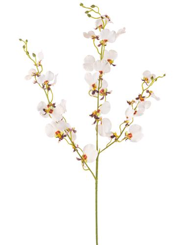 De Kunstbloem Orchidee 98 cm crème is een enkele kunstmatige crème orchidee steel met meerdere delicate bloemen en meerdere knoppen, met gele en paarse harten, geïsoleerd op een effen witte achtergrond.