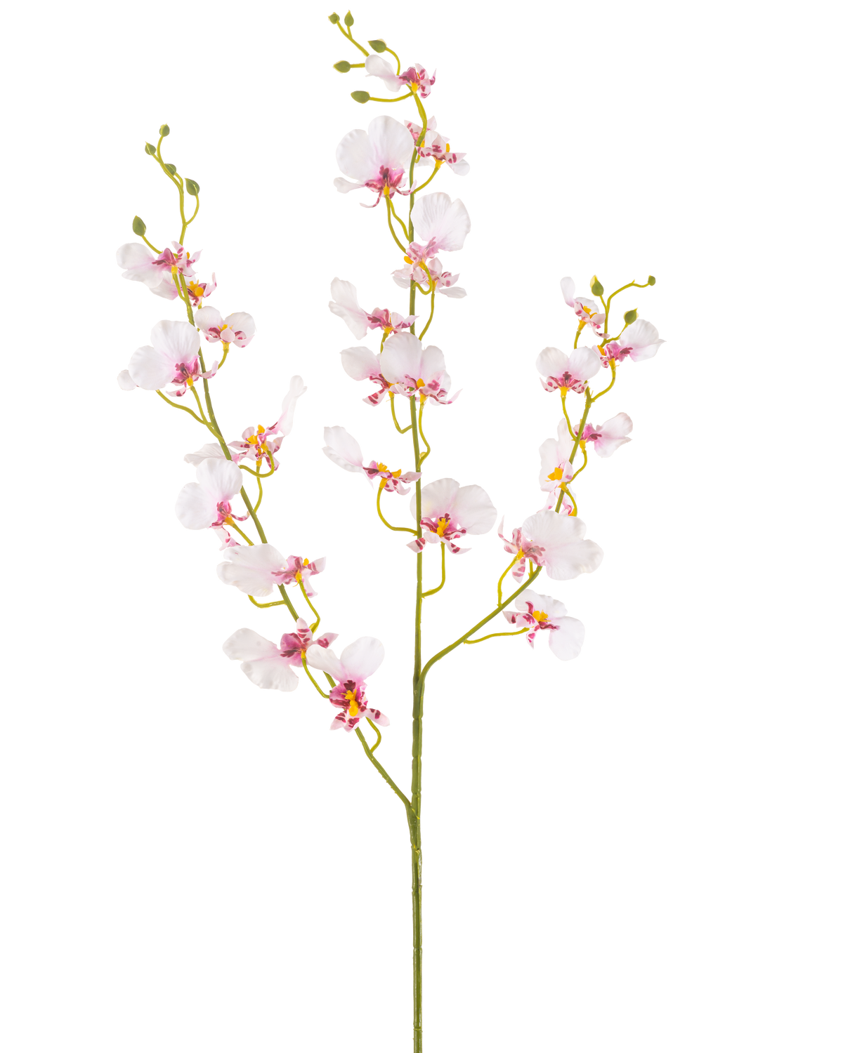 The Artificial Flower Orchid 98 cm blush has a single long stem with multiple delicate light pink orchid flowers and buds, thin green branches and small oval leaves, all against a plain white background.