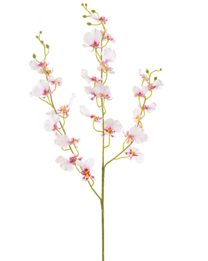 De Kunstbloem Orchidee 98 cm blush heeft een enkele lange steel met meerdere delicate lichtroze orchidee bloemen en knoppen, dunne groene takken en kleine ovale bladeren, allemaal tegen een effen witte achtergrond.