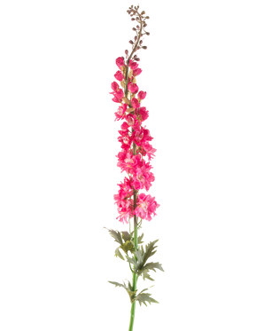 Een enkele Kunstbloem Ridderspoor 137 cm in felroze met groene bladeren, geïsoleerd op een witte achtergrond.