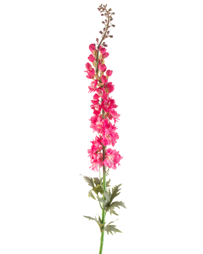 Een enkele Kunstbloem Ridderspoor 137 cm in felroze met groene bladeren, geïsoleerd op een witte achtergrond.