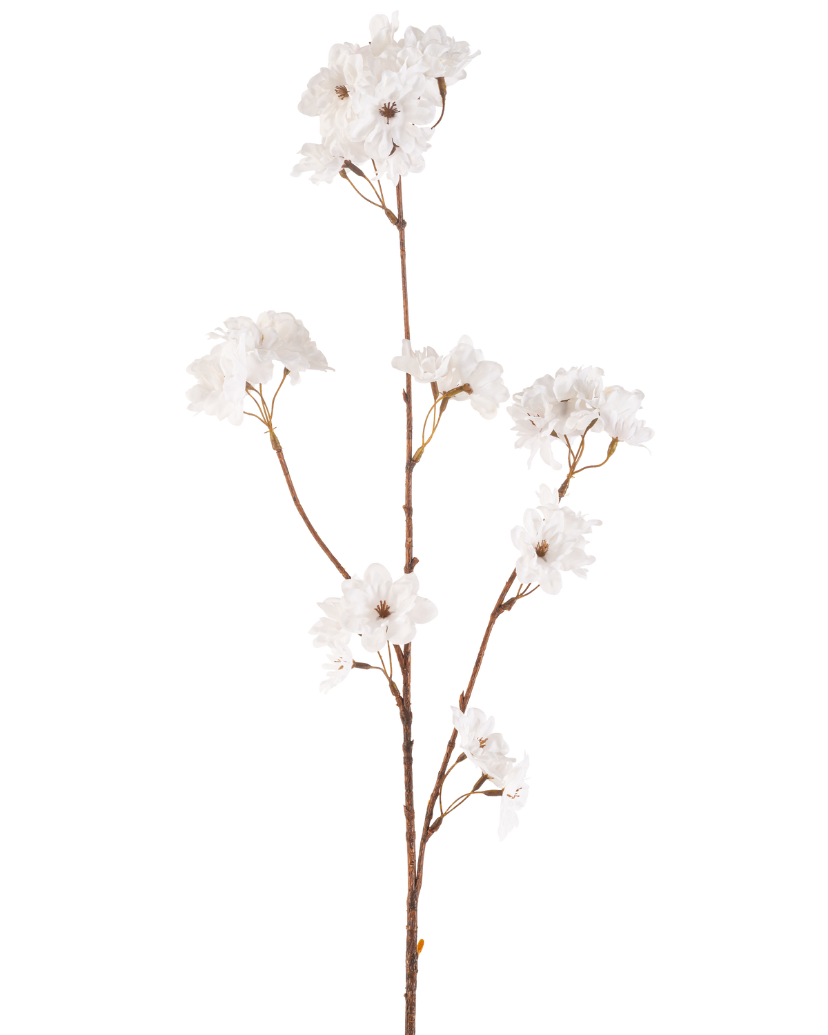 The Artificial Flower Cherry Blossom 85cm cream has a slender brown stem with multiple branches holding bunches of delicate cream artificial cherry blossoms, all against a plain white background.