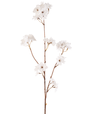 De Kunstbloem Kersenbloesem 85 cm crème heeft een slanke bruine steel met meerdere takken die trossen delicate crème kunstmatige kersenbloesems vasthouden, allemaal tegen een effen witte achtergrond.
