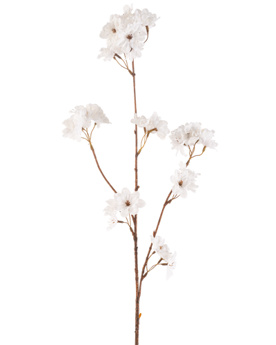 De Kunstbloem Kersenbloesem 85 cm crème heeft een slanke bruine steel met meerdere takken die trossen delicate crème kunstmatige kersenbloesems vasthouden, allemaal tegen een effen witte achtergrond.