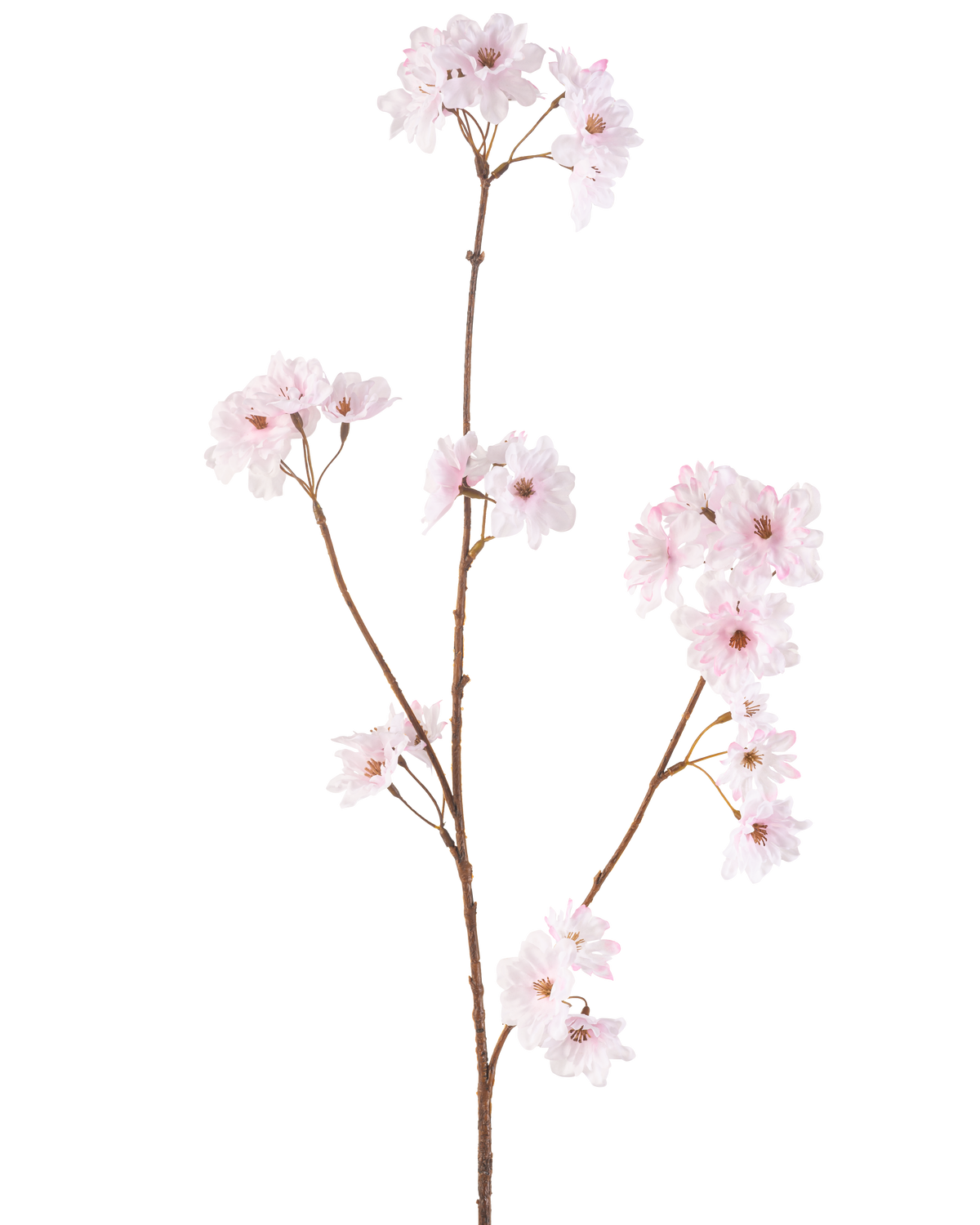 The Artificial Flower Cherry Blossom 85 cm light pink has a single slender brown stem with bunches of delicate light pink cherry blossoms, beautifully isolated on a white background.