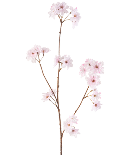 De Kunstbloem Kersenbloesem 85 cm lichtroze heeft een enkele slanke bruine steel met trosjes delicate lichtroze kersenbloesems, prachtig geïsoleerd op een witte achtergrond.