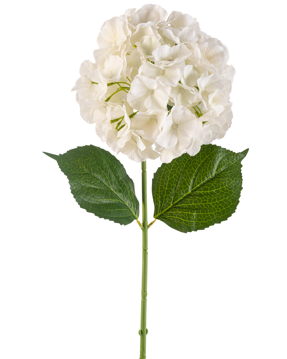 The Artificial Flower Hydrangea 75 cm cream has a single cream-colored hydrangea flower with multiple petals and three large green leaves on a long green stem, isolated on a white background.