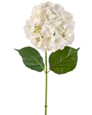 De Kunstbloem Hortensia 75 cm crème heeft een enkele crèmekleurige hortensiabloem met meerdere bloemblaadjes en drie grote groene bladeren op een lange groene steel, geïsoleerd op een witte achtergrond.