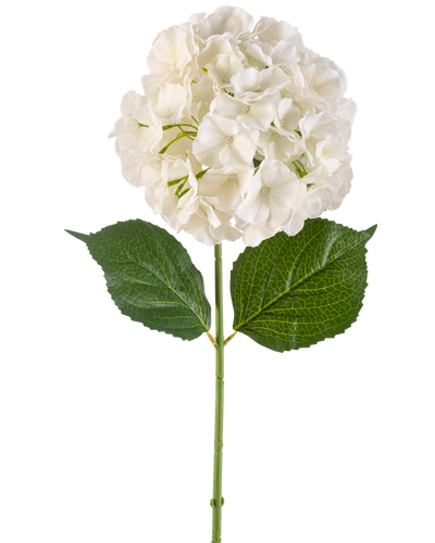 De Kunstbloem Hortensia 75 cm crème heeft een enkele crèmekleurige hortensiabloem met meerdere bloemblaadjes en drie grote groene bladeren op een lange groene steel, geïsoleerd op een witte achtergrond.