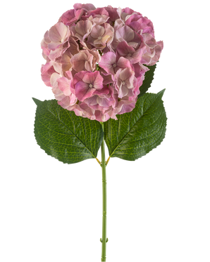 De Kunstbloem Hortensia 75 cm mauve heeft een enkele mauve hortensiabloesem met groene bladeren op een lange steel, tegen een witte achtergrond.