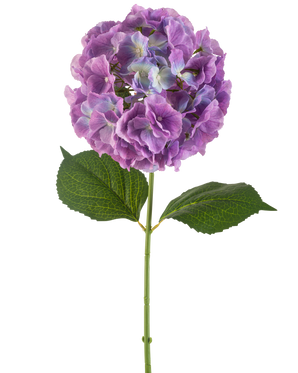 De Kunstbloem Hortensia 75 cm paars heeft een enkele kunsthortensiastam met grote, ronde trossen paarse bloemblaadjes en twee brede groene bladeren, tegen een witte achtergrond.