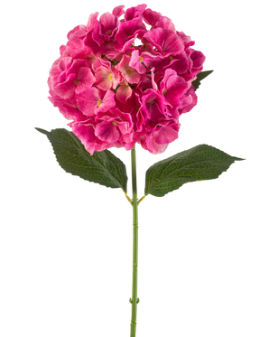 Een enkele stengel Kunstbloem Hortensia 75 cm felroze met trossen felroze bloemblaadjes en enkele groene blaadjes, tegen een effen witte achtergrond.