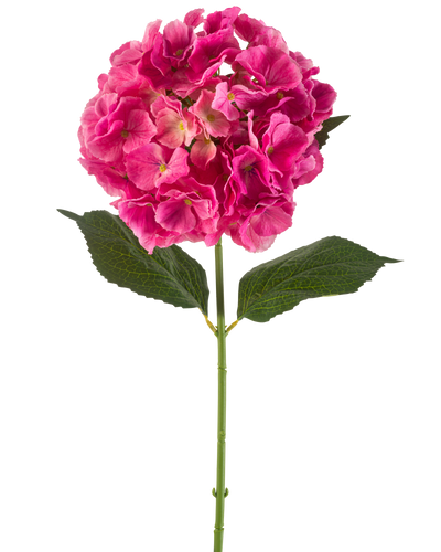 Een enkele stengel Kunstbloem Hortensia 75 cm felroze met trossen felroze bloemblaadjes en enkele groene blaadjes, tegen een effen witte achtergrond.