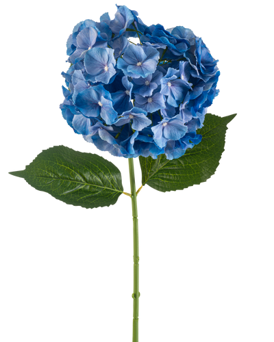 De Kunstbloem Hortensia 75 cm blauw heeft een enkele blauwe hortensiasteel met een ronde tros bloemblaadjes en twee grote groene bladeren op een effen witte achtergrond.