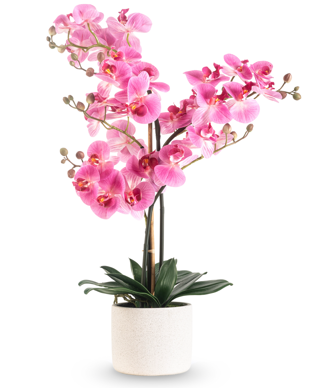 The Artificial Orchid Real Touch 68 cm pink has a vibrant pink orchid with multiple stems and green leaves in a white ceramic pot, against a plain white background.