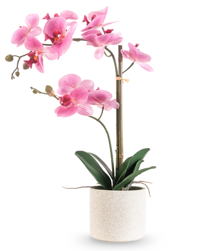 De Kunst Orchidee Real Touch 60 cm roze/wit heeft een roze en witte orchidee met verschillende bloemen en groene bladeren in een pot met witte textuur, ondersteund door een dunne bamboestok, tegen een effen witte achtergrond.