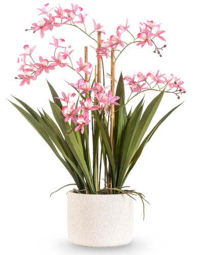 The Artificial Plant Mini Cymbidium Real Touch 58 cm pink has long green leaves and multiple pink flower stems, arranged in a structured white cylindrical pot, against a plain white background.