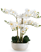 Een Kunst Orchidee Real Touch 50 cm in wit, met meerdere bloemen en knoppen, elegant gepresenteerd in een bijpassende witte pot.