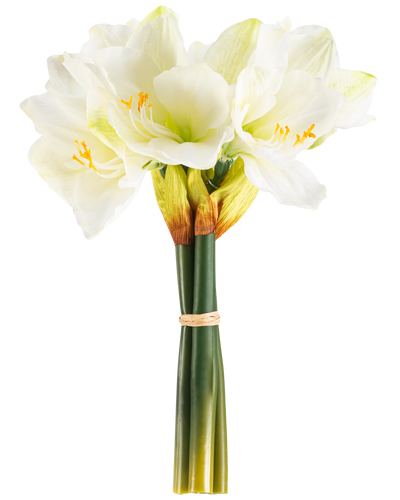 De Kunstbloem Amaryllis Real Touch wit 36 cm heeft levensechte witte amaryllisbloemen met lichtgroene hartjes en gele meeldraden, gebonden met een beige band rond groene stelen, perfect tegen een effen witte achtergrond.