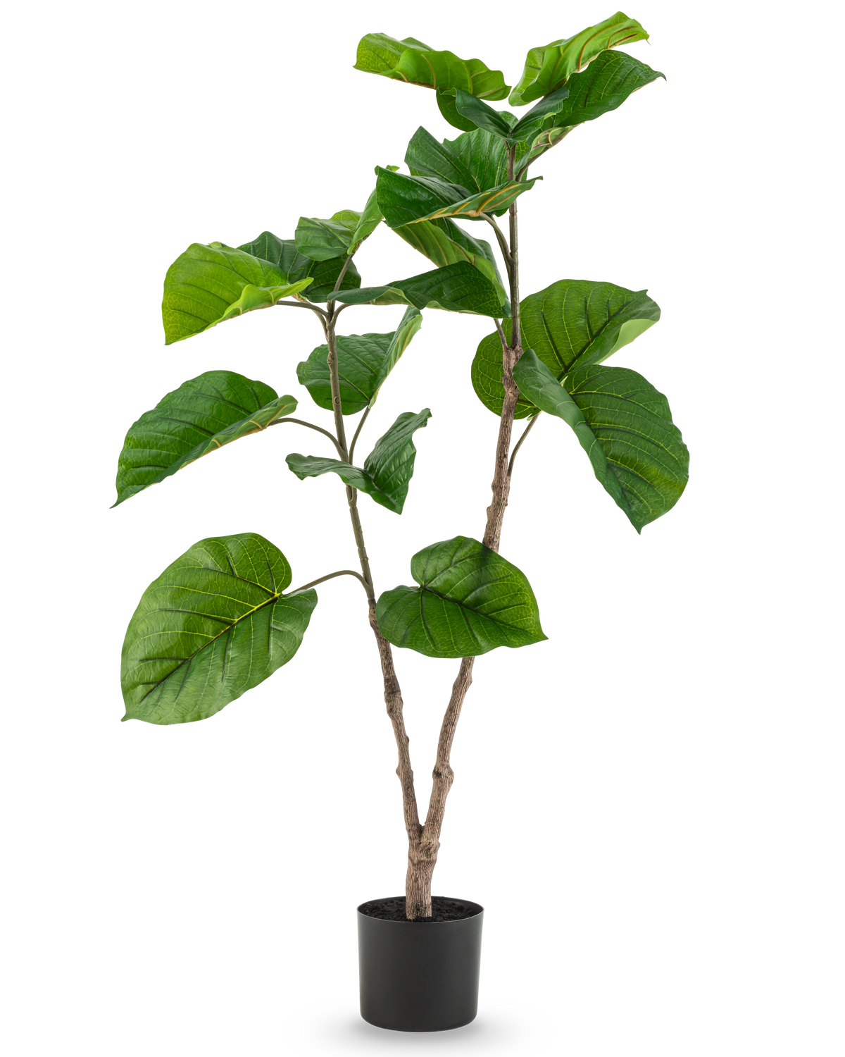 The Artificial Plant Ficus Rumphii 120 cm is a tall artificial plant with wide, glossy green leaves and multiple branches, in a simple black pot against a plain white background.