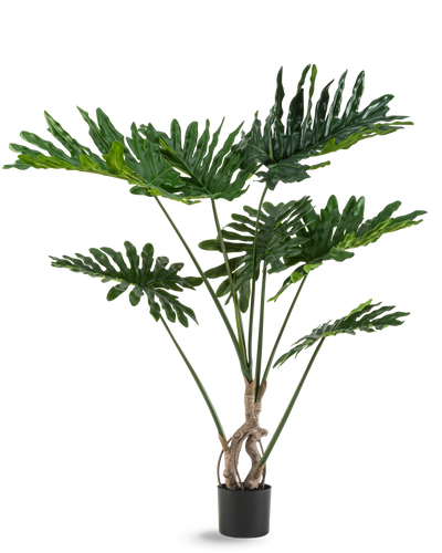 De Kunstplant Philodendron 120 cm heeft grote, glanzende, diep ingesneden groene bladeren en meerdere lange stelen met een gedraaide stam, tegen een effen witte achtergrond.