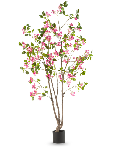 De Kunstplant Bougainvillea 180 cm is een hoge kunstplant met meerdere bruine stengels, groene bladeren en felroze bloemen in een zwarte pot, tegen een effen witte achtergrond.
