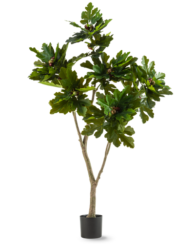 De Kunstplant Ficus Carica Vijgenboom 180 cm is een kunstplant in pot met brede, glanzende groene bladeren en kleine bruine vruchten, die lijken op een vijgenboom, tegen een witte achtergrond.