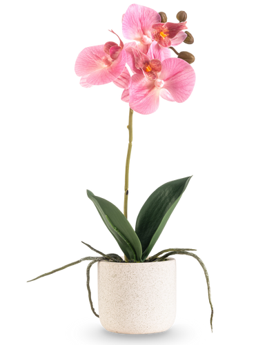 De Kunst Orchidee Real Touch 30 cm roze heeft verschillende roze bloesems en knoppen op een lange steel met brede groene bladeren en zichtbare wortels, allemaal gerangschikt in een eenvoudige pot met witte textuur tegen een effen witte achtergrond.
