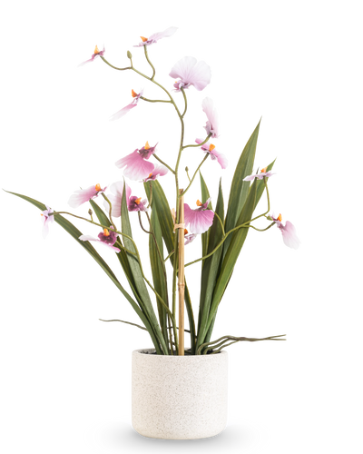 De Kunst Oncidium Real Touch 48 cm roze heeft een hoge orchidee met lange groene bladeren en delicate roze bloemen op gebogen stelen, in een pot met witte textuur tegen een effen witte achtergrond.