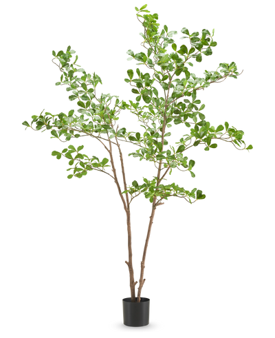 De Kunstplant Mahonia 180 cm heeft meerdere dunne bruine stelen en overvloedige kleine groene bladeren, gepresenteerd in een pot tegen een effen witte achtergrond.
