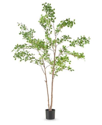 De Kunstplant Terminalia Catappa 150 cm is een hoge kunstboom met slanke bruine takken en groene bladeren in een eenvoudige zwarte pot, tegen een effen witte achtergrond.