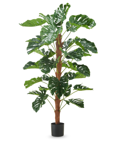 De Kunstplant Monstera 150 cm is een hoge kunstplant met grote groene gespleten bladeren, weergegeven in een kleine zwarte pot op een effen witte achtergrond.