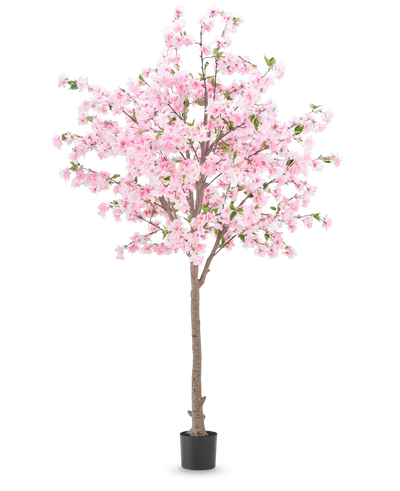 De Kunstplant Kersenbloesem 240 cm heeft een bruine stam met talrijke takken die versierd zijn met roze bloemen en enkele groene blaadjes, geplaatst in een zwarte pot tegen een effen witte achtergrond.
