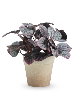 De Kunstplant Rugose blad 21 cm grijs heeft donkerpaarse en groene bonte bladeren in een lichtbruine pot met structuur, gepresenteerd tegen een effen witte achtergrond.