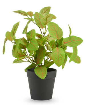 Artificial Fittonia in pot 25 cm UV