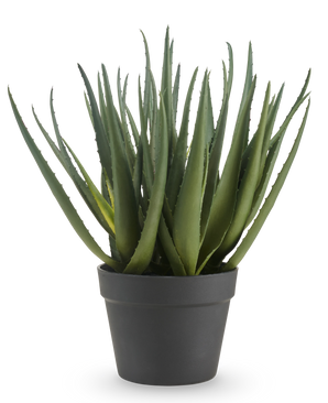 De Kunstplant Aloë 46 cm heeft lange, puntige groene bladeren en wordt geleverd in een eenvoudige donkergrijze pot, tegen een effen witte achtergrond.