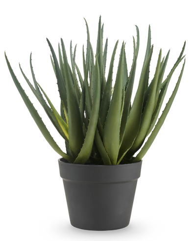 De Kunstplant Aloë 46 cm heeft lange, puntige groene bladeren en wordt geleverd in een eenvoudige donkergrijze pot, tegen een effen witte achtergrond.