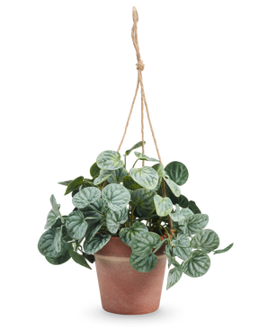 De Kunstplant Rugose blad 29 cm grijs in hangpot heeft ronde, gedessineerde groene bladeren en hangt in een pot aan een tan touw tegen een effen witte achtergrond.