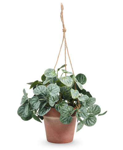 De Kunstplant Rugose blad 29 cm grijs in hangpot heeft ronde, gedessineerde groene bladeren en hangt in een pot aan een tan touw tegen een effen witte achtergrond.
